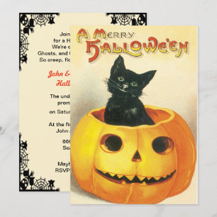 Vintage Cat Sitting In A Pumpkin Invitation