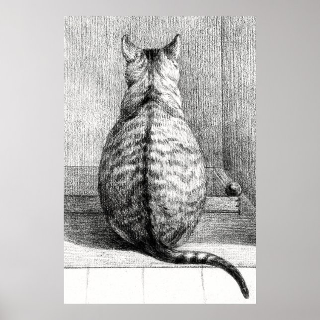 Vintage Cat Sketch Art Drawing Poster (Front)