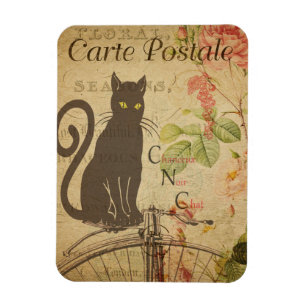 Vintage Cat Theme   Carte Postale   Black Cat Magnet