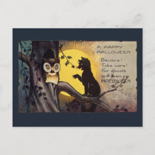 Vintage Cat Warning Owl Spooky Halloween Postcard