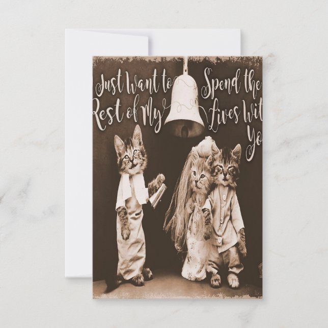 Vintage Cat Wedding |Cute Cat Design RSVP Card (Front)