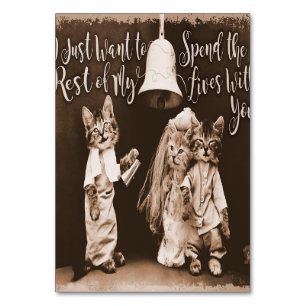 Vintage Cat Wedding Cute Cat Design Table Number