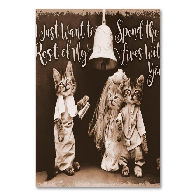 Vintage Cat Wedding |Cute Cat Design Table Number (Front)