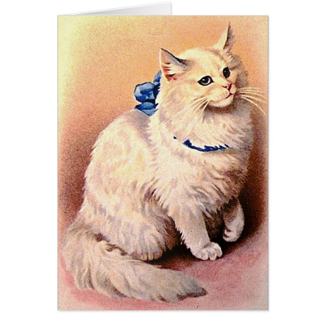 Vintage Cat with Blue Bow (Front)