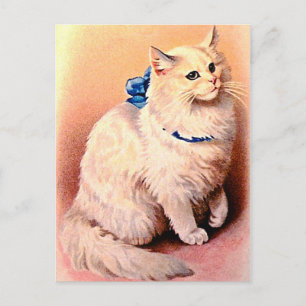Vintage Cat with Blue Bow Postcard