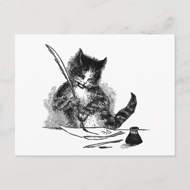 Vintage Cat Writing Postcard (Front)