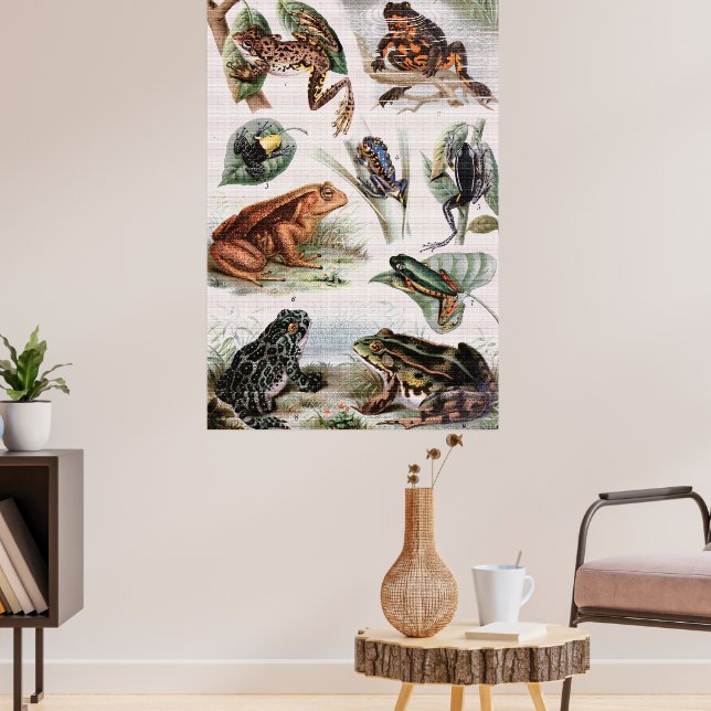 Vintage Catalog of Frogs and Toads Poster (Living Room 3)