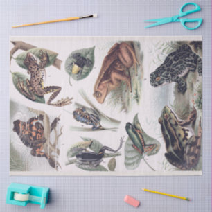 Vintage Catalog of Frogs Decoupage Tissue Paper