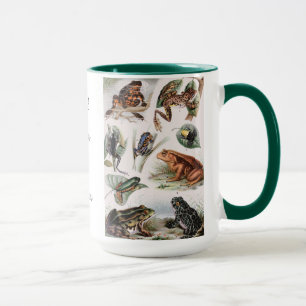Vintage Catalog of Frogs For Animal Lovers Mug