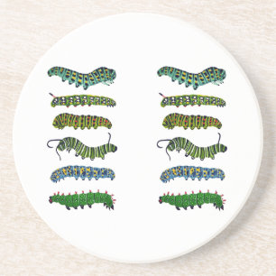 Vintage Caterpillar Illustration Mug Coaster