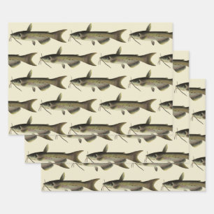Vintage Catfish Fishing, Marine Life River Fish Wrapping Paper Sheet