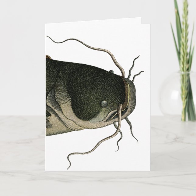 Vintage Catfish, Mother's Day Card (Front)