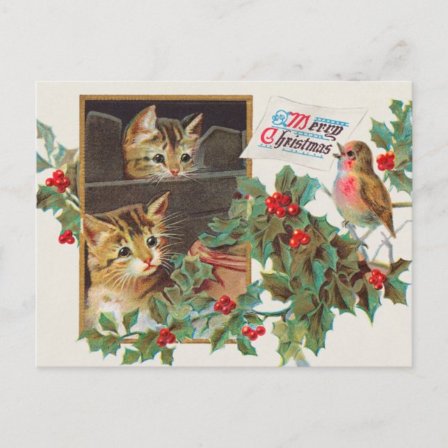 Vintage cats and bird holiday postcard (Front)