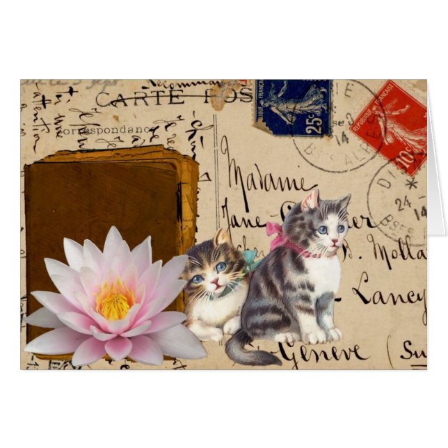 Vintage Cats and Book (Front Horizontal)