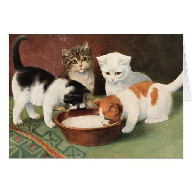 Vintage cats and milk (Front Horizontal)
