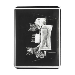 Vintage Cats at a Birthday Party Magnet