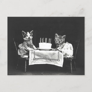 Vintage Cats at a Birthday Party Postcard
