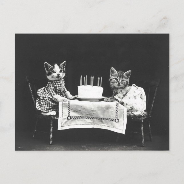 Vintage Cats at a Birthday Party Postcard (Front)