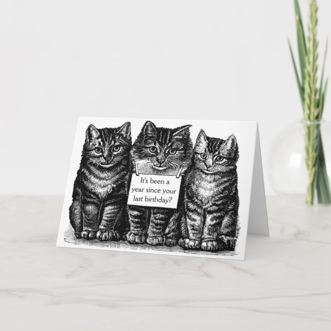 Vintage Cats Birthday Card (Front)