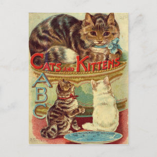 Vintage cats cute animal postcard