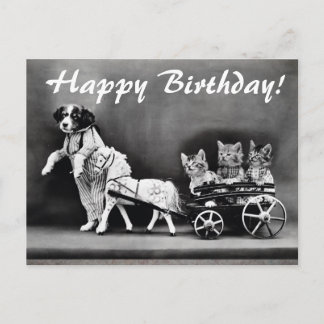Vintage Cats & Dog Happy Birthday Postcard