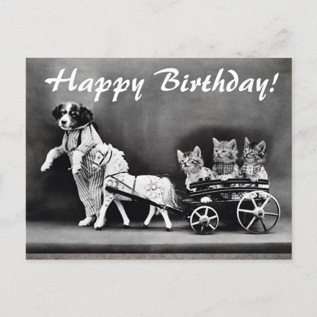 Vintage Cats & Dog Happy Birthday Postcard (Front)