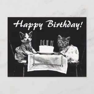 Vintage Cats Happy Birthday Postcard