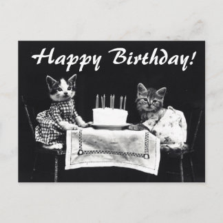 Vintage Cats Happy Birthday Postcard