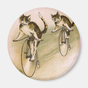 Vintage Cats on Bikes Magnet