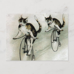 Vintage Cats on Bikes Postcard