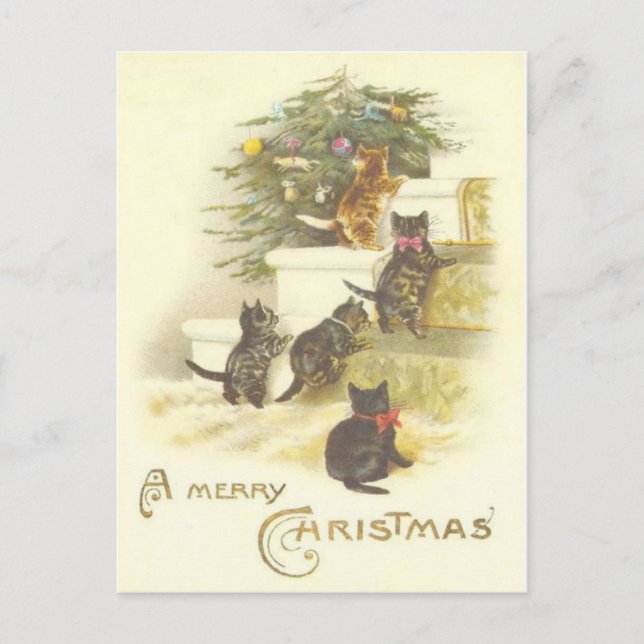 Vintage Cats on Stairs Merry Christmas Post Card (Front)