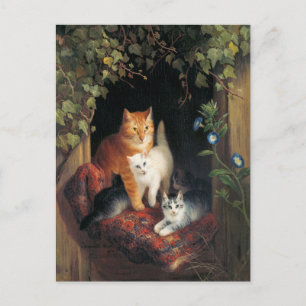 Vintage Cats Postcard