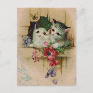 Vintage Cats Postcard