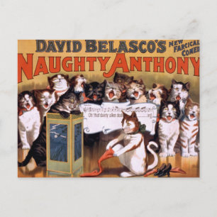 Vintage Cats Postcard