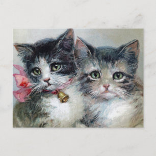 Vintage Cats Postcard
