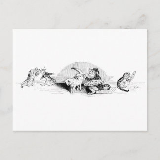 Vintage Cats Postcard