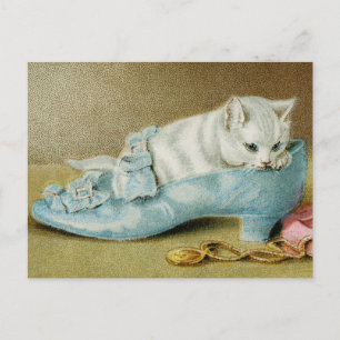 Vintage Cats Postcard