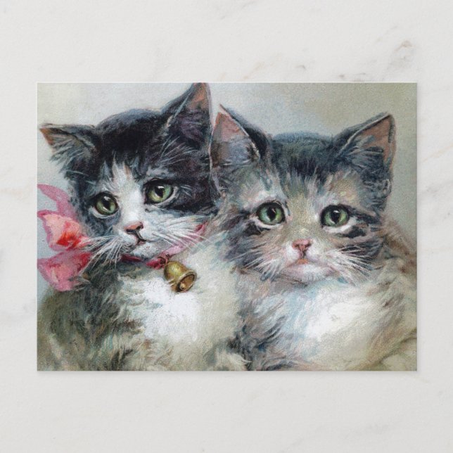 Vintage Cats Postcard (Front)