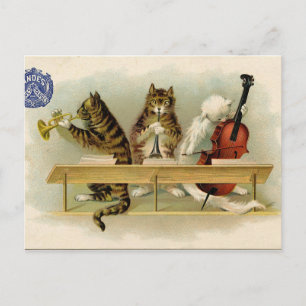 Vintage Cats Postcard