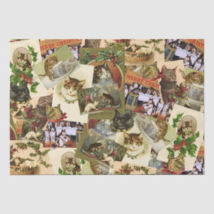 Vintage Cats Tissue Paper