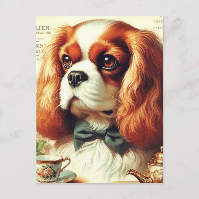 Vintage Cavalier King Charles Spaniel  Painting Postcard (Front)