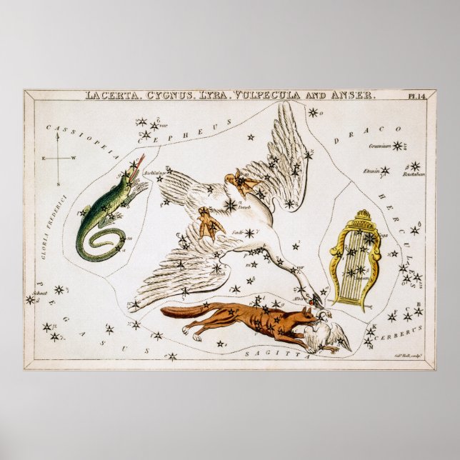 Vintage Celestial Astronomical Map Poster (Front)