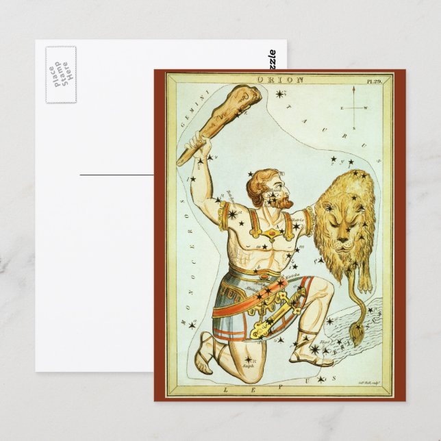 Vintage Celestial Astronomy, Orion Constellation Postcard (Front/Back)