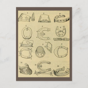 Vintage chart of types of horseshoes postcard