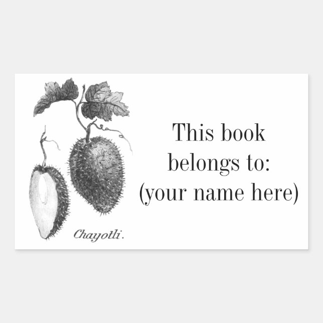 Vintage chayote etching bookplate rectangular sticker (Front)