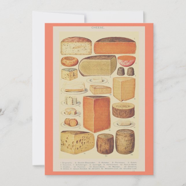 Vintage cheese chart illustration cheese menu (Front)