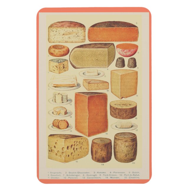 Vintage cheese chart illustration cheese menu magnet (Vertical)