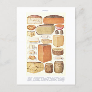 Vintage Cheese Illustration Postcard