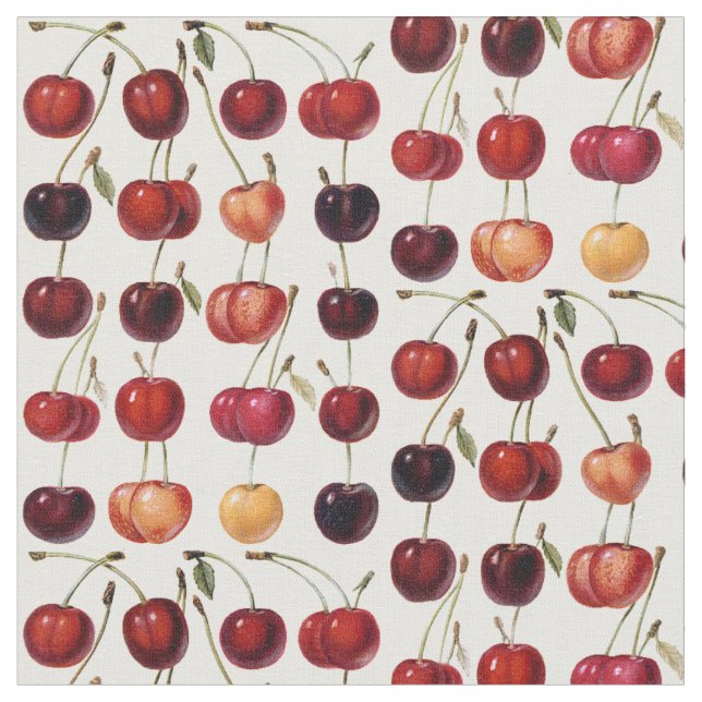 Vintage Cherries Fabric (Close Up)