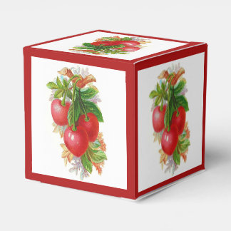 Vintage Cherries Favour Box
